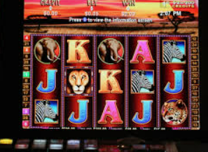 ldsports乐动app下载免费版